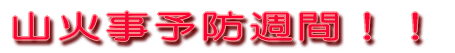 RΎ\hTԁII 